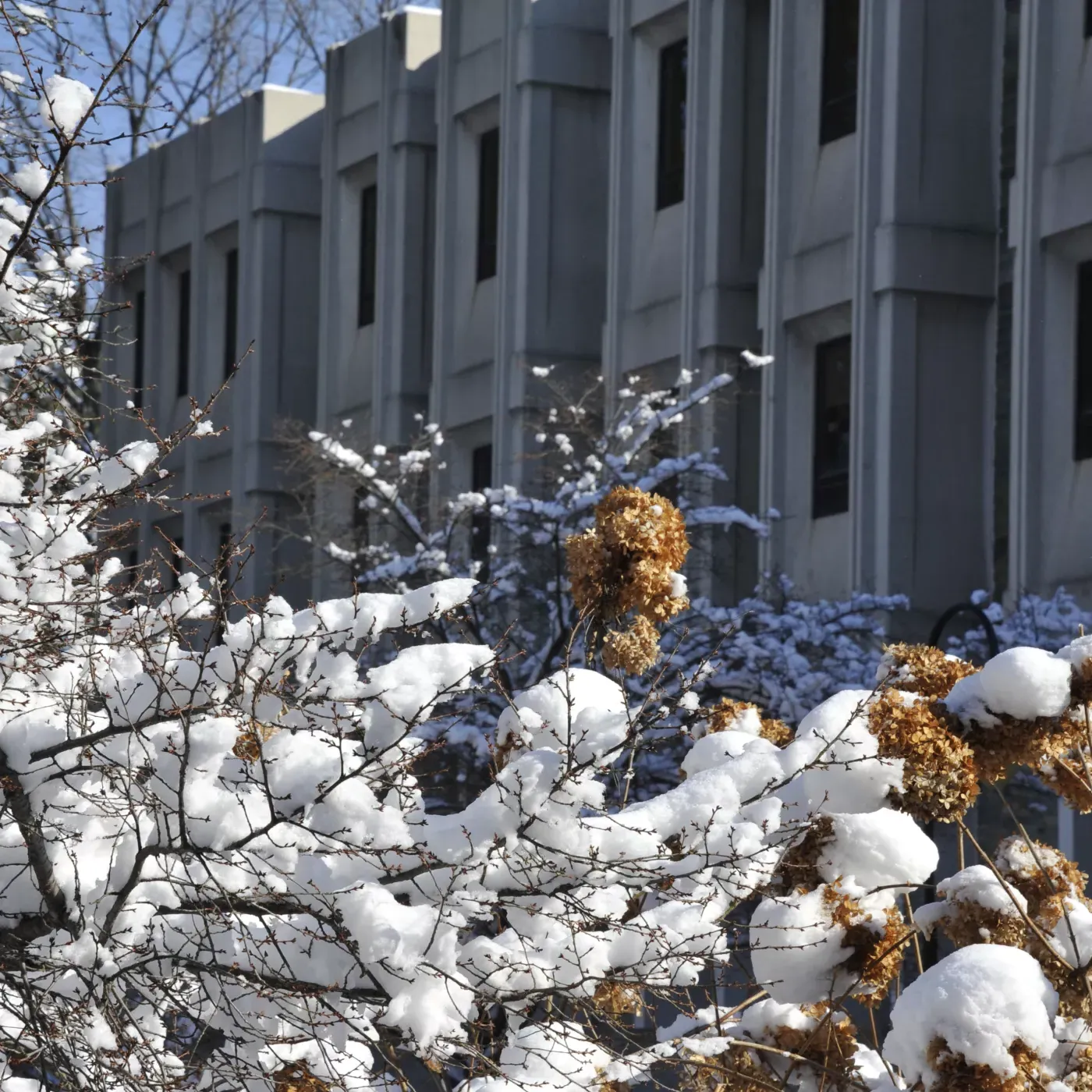 Canaday Library in the snow.